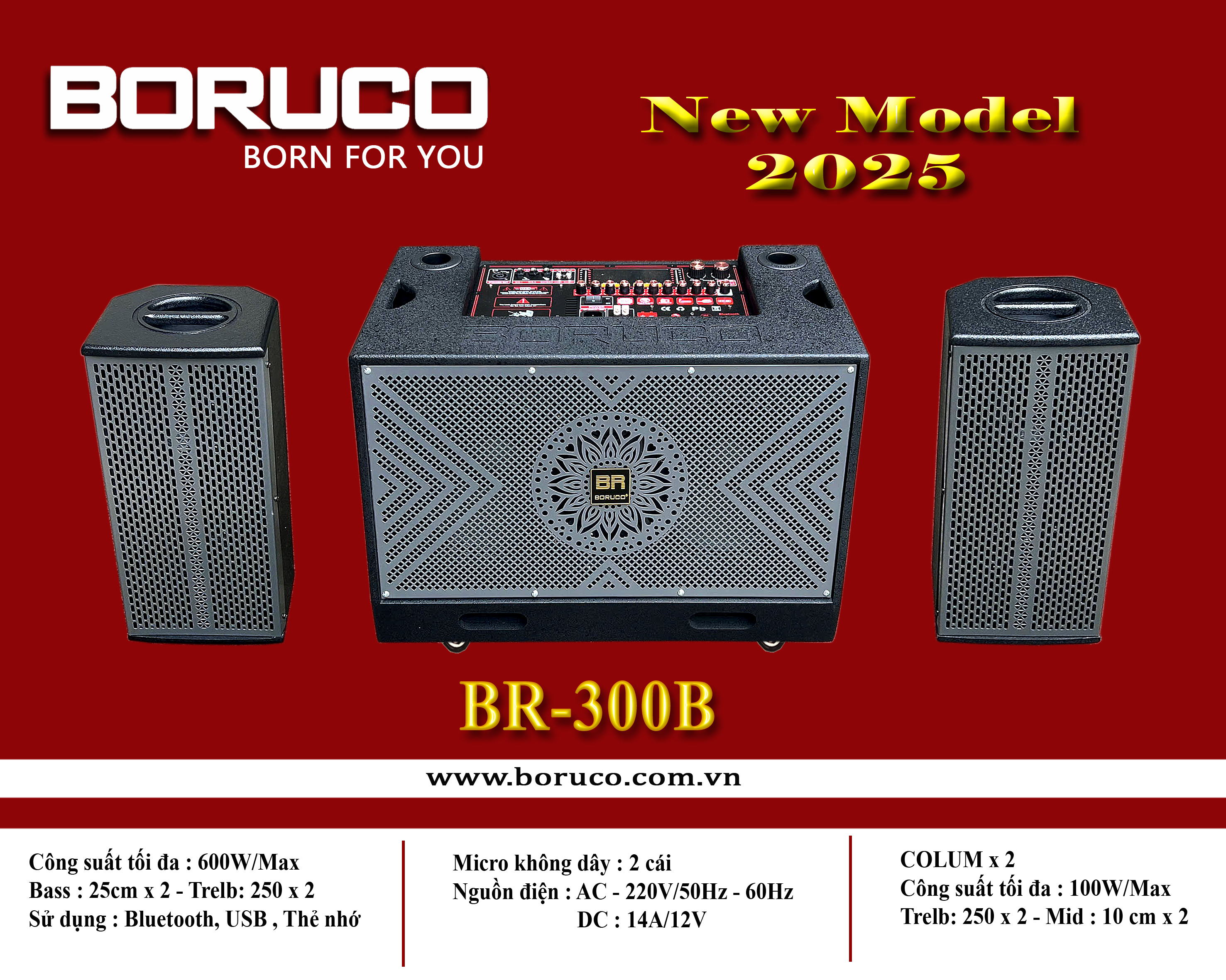 BR 300B